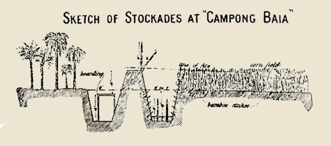 Kampong
                Biak stockades
